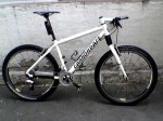 Cannondale.jpg