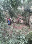 IMG-20130317-WA0001.jpg