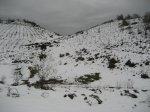 IMG_2878.JPG