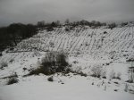 IMG_2879.JPG