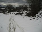 IMG_2884.JPG