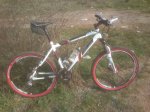 bici 1024.jpg