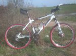 bicicleta 1024.jpg