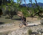 20130318_100649-1-1.jpg
