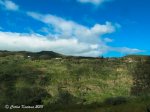 IMG_6804.jpg