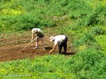 IMG_6832.jpg