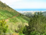 IMG_6837.jpg
