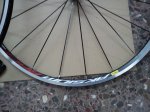 DSC00677.jpg