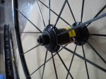 DSC00679.jpg