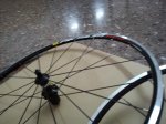 DSC00682.jpg