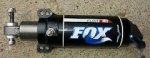 fox.jpg