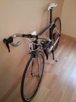 20130313_160301.jpg