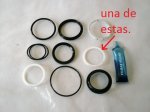 retenes fox..JPG