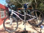 2013-03-18 13.04.39.jpg