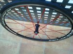 2013-03-12 07.56.10.jpg