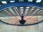 2013-03-12 07.56.23.jpg