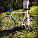 fixie.jpg