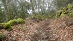 IMGP6912 (Copiar).JPG
