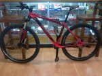 carve 29er original.jpg