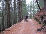 IMG_4342 (Copiar).JPG