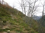 IMG_4367 (Copiar).JPG