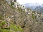 IMG_4369 (Copiar).JPG