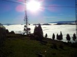 rps20130321_231645_770.jpg