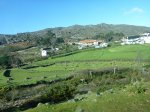 P1000247.jpg