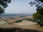 DSC00254.jpg