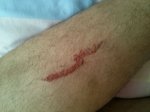 IMG_20130321_164020.jpg
