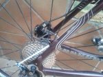 IMG_20130322_184452.jpg