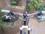 IMG_20130322_184423.jpg