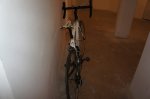 DSC02516.jpg