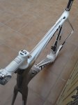 IMG_20130319_152158_0.jpg