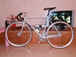 orbea.jpg