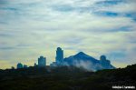 DSC_8410.JPG