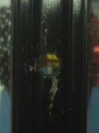 20032013014.jpg