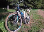 IMG-20121216-00134 mini.jpg