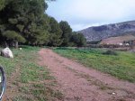 IMG-20121216-00135 mini.jpg