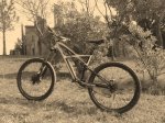 Old Spec - copia.jpg