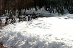 250-PIC353832427.jpg