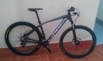 orbea 1.jpg