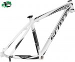1309301674_Scott_Scale_40_2011_cuadro.jpg
