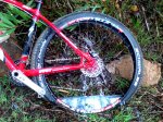 img201120406101423a.jpg
