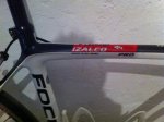 focus4 (Small).JPG