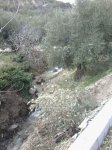 IMG-20130317-WA0137.jpg