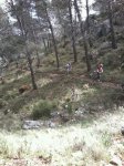 IMG-20130323-WA0074.jpg