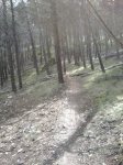 IMG-20130323-WA0080.jpg
