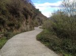 IMG_1890.JPG