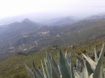 20130324_113604.jpg